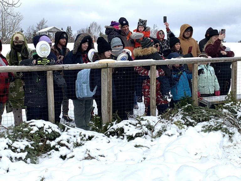 IN PHOTOS Braving the cold to watch Cape Breton's groundhog predict