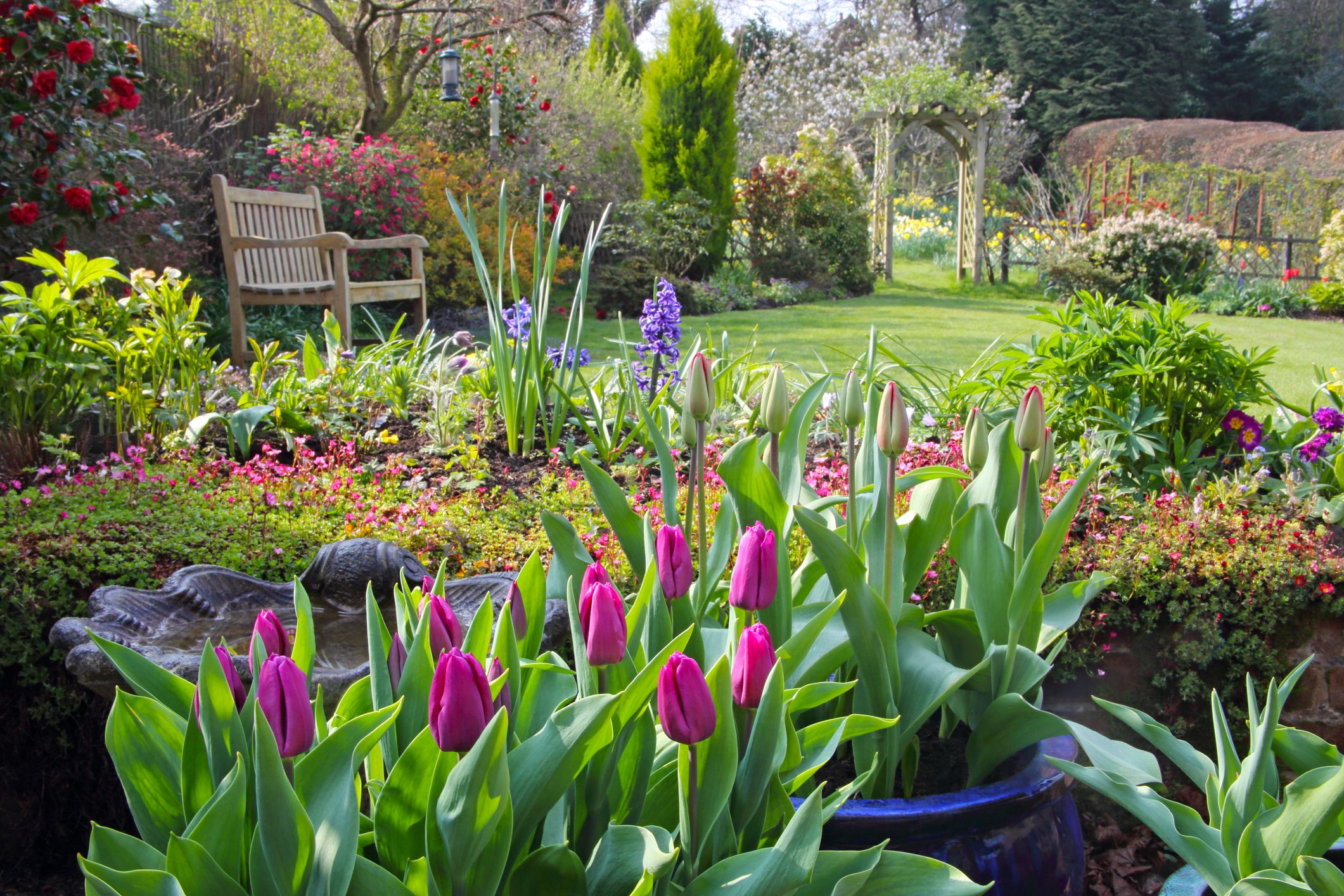 37 Spring Flowers to Plant Right This Instant for a Sensational Garden