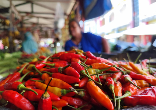 Menjelang Akhir Tahun, Harga Cabai dan Hortikultura Kalteng Stabil