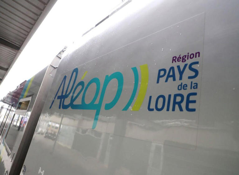 Trafic TER perturbé entre Saumur et Angers après des dégradations sur ...