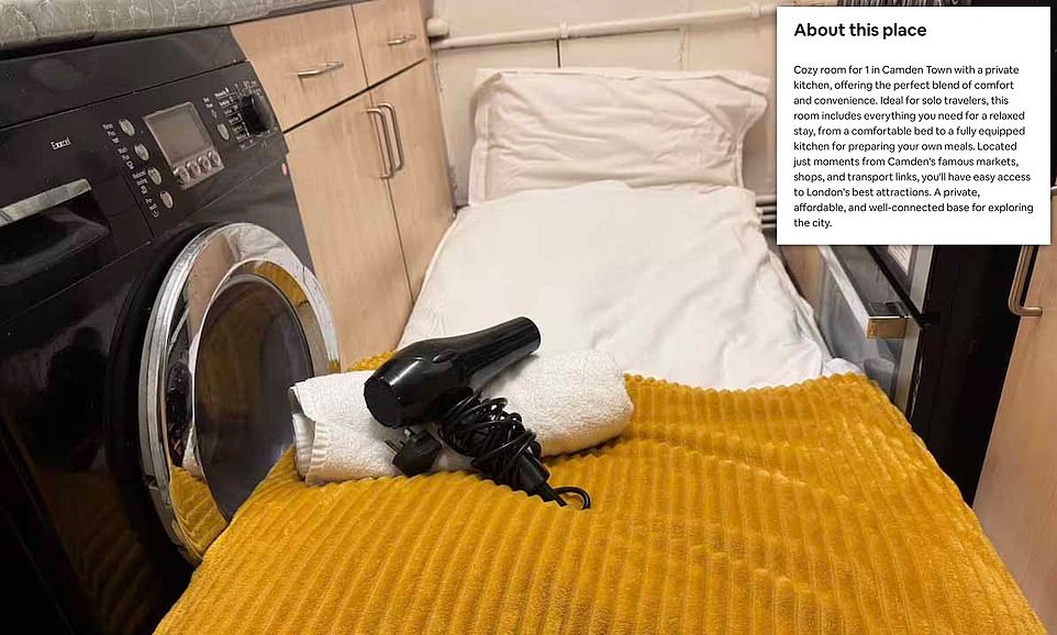 Worst Airbnb Host Reddit