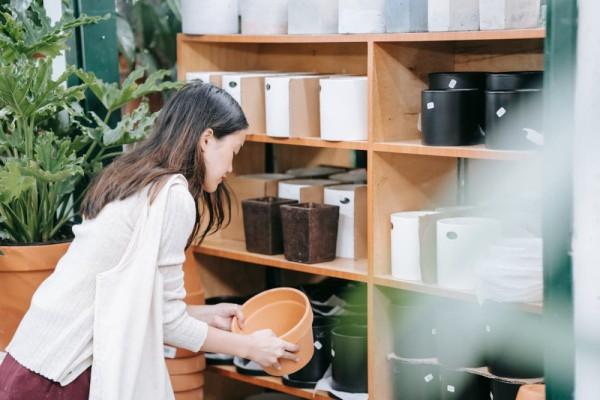 Temukan Keseimbangan dengan 5 Cara Menata Tanaman Hias Berdasarkan Feng Shui