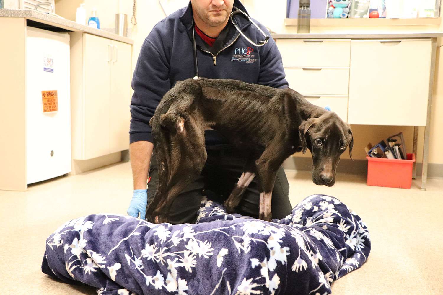 Emaciated Dog Found on 'Death's Doorstep' in Worst Condition Shelter