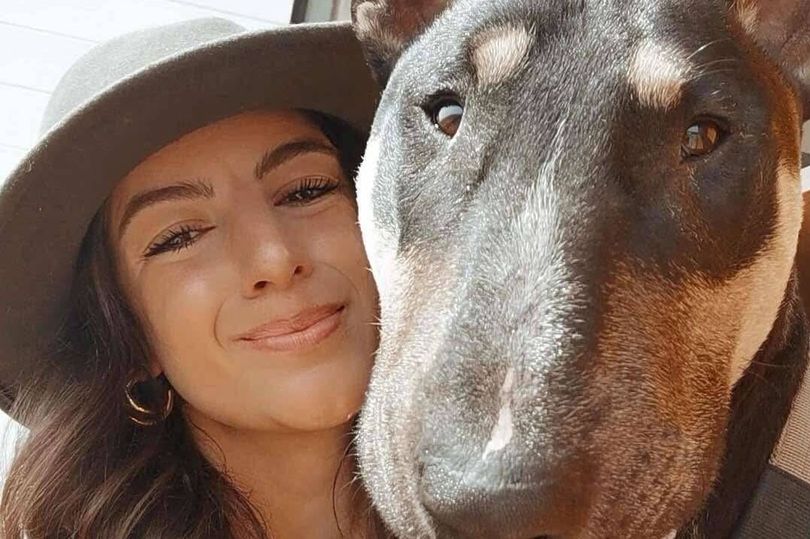 Couple's 'unbearable grief' as beloved dog dies after walk on South