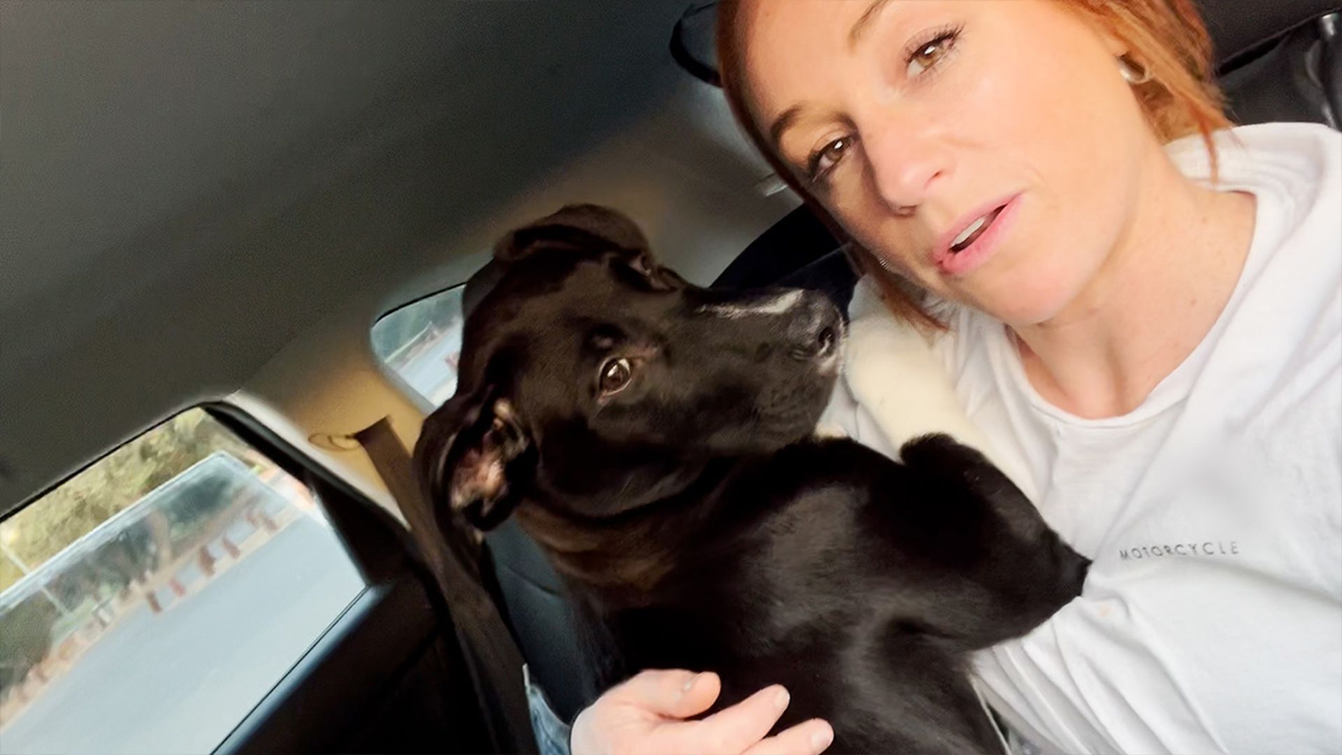 Woman Rescues 3 Puppies Just In Time<br><br>