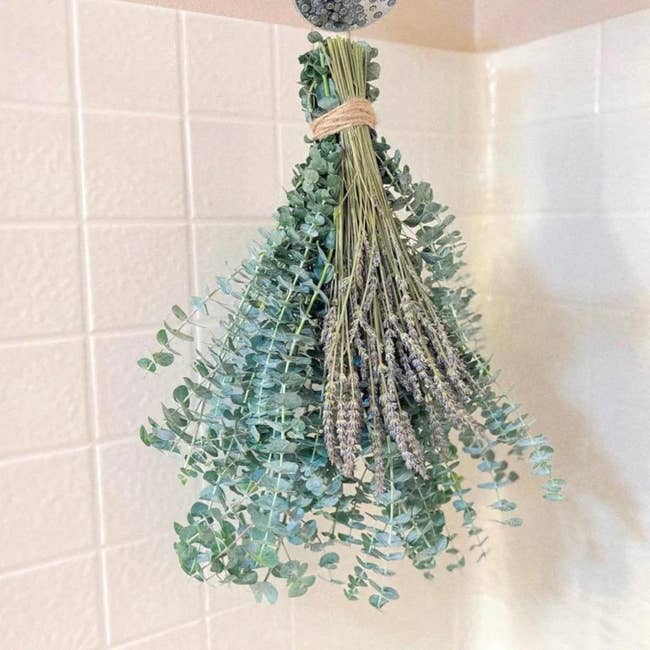 Bunch of eucalyptus and lavender hanging upside down for drying in a tiled area