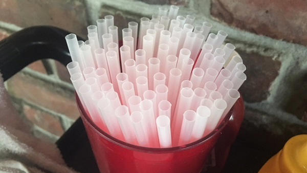 Florida Environmentalists Respond To Trumps Paper Straw Ban