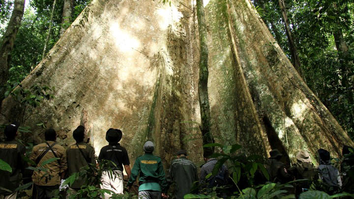 Para pengabdi Taman Nasional Gunung Leuser, Aceh Tenggara. Foto: Zuhri Noviandi/kumparan