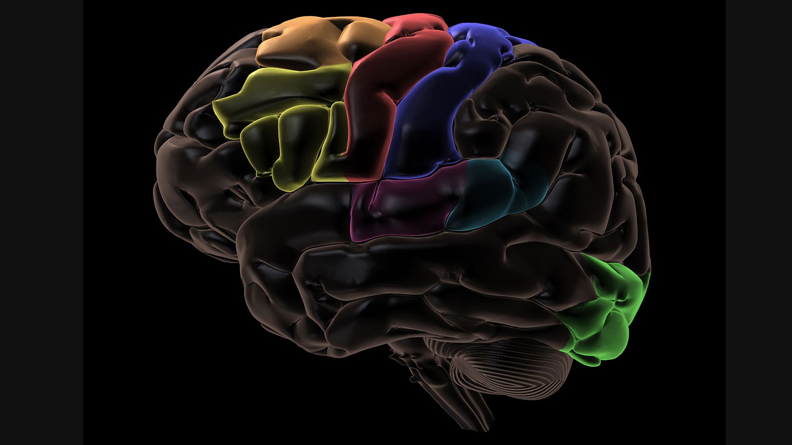 Brain Circuit for Creativity Identified - AA1z4IZe.img