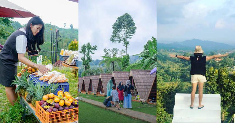 7 Tempat Glamping di Bedugul untuk Liburan Mendatang