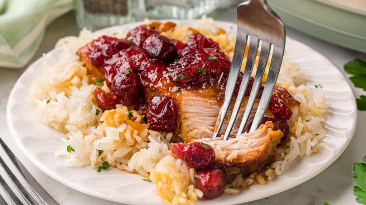 25 SLOW COOKER CHICKEN RECIPES visual data 5