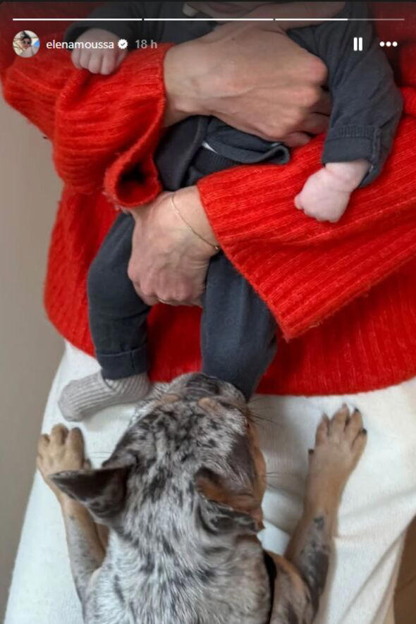 Greg Gutfeld's young wife Elena Moussa shares first ever pic of their