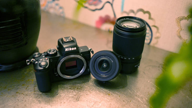 What is an APS-C camera? Why this camera spec is a sweet spot for price ...