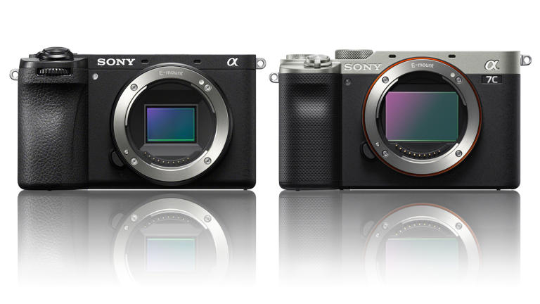 What is an APS-C camera? Why this camera spec is a sweet spot for price ...