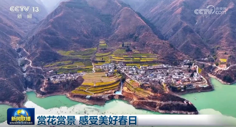 赏花赏景 感受美好春日