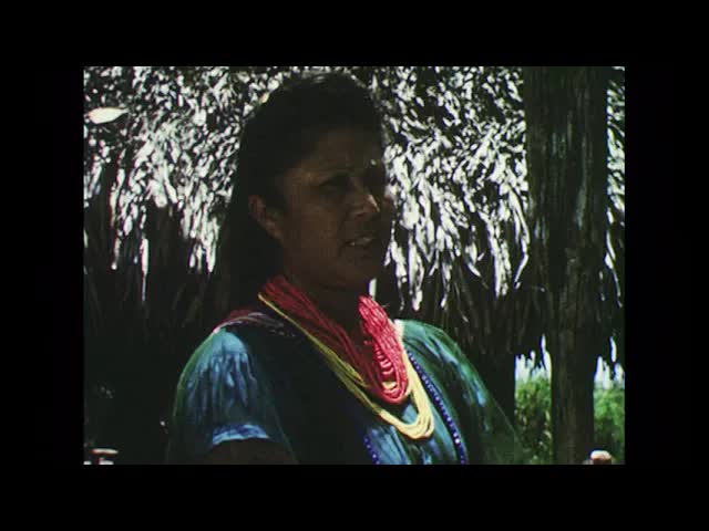 Florida Everglades Tribe’s Cultural Preservation Success Story