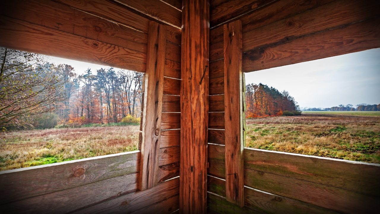 Signs you’re hunting the wrong stand without realizing it