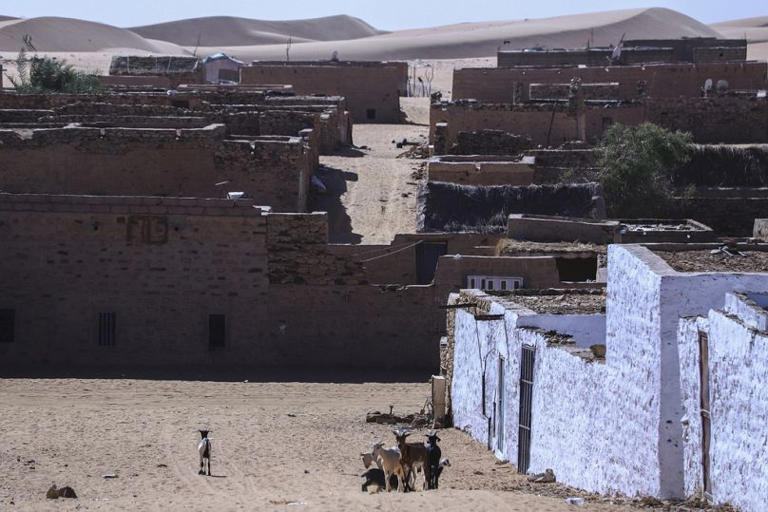 Animals roam near homes surrounded by sand in Chinguetti, Mauritania. AP Photo/Khaled Moulay