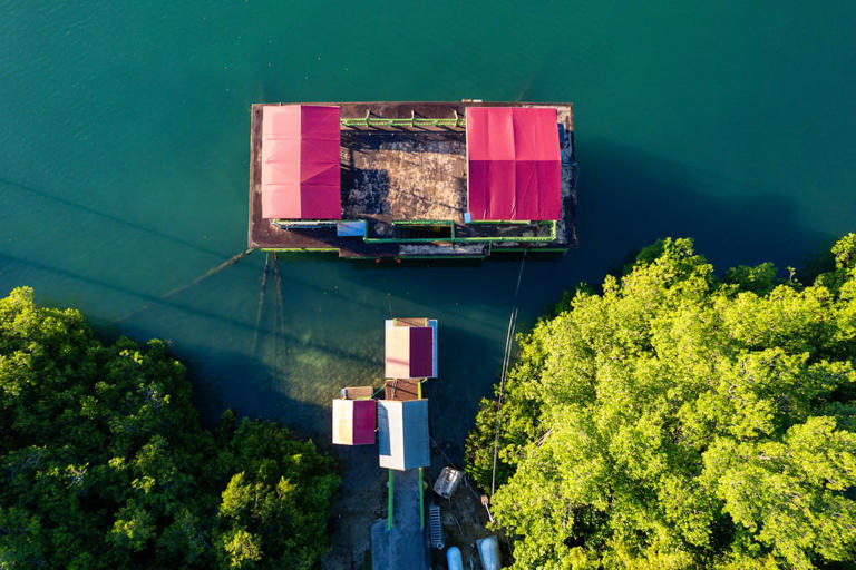 Things to Do in Montego Bay