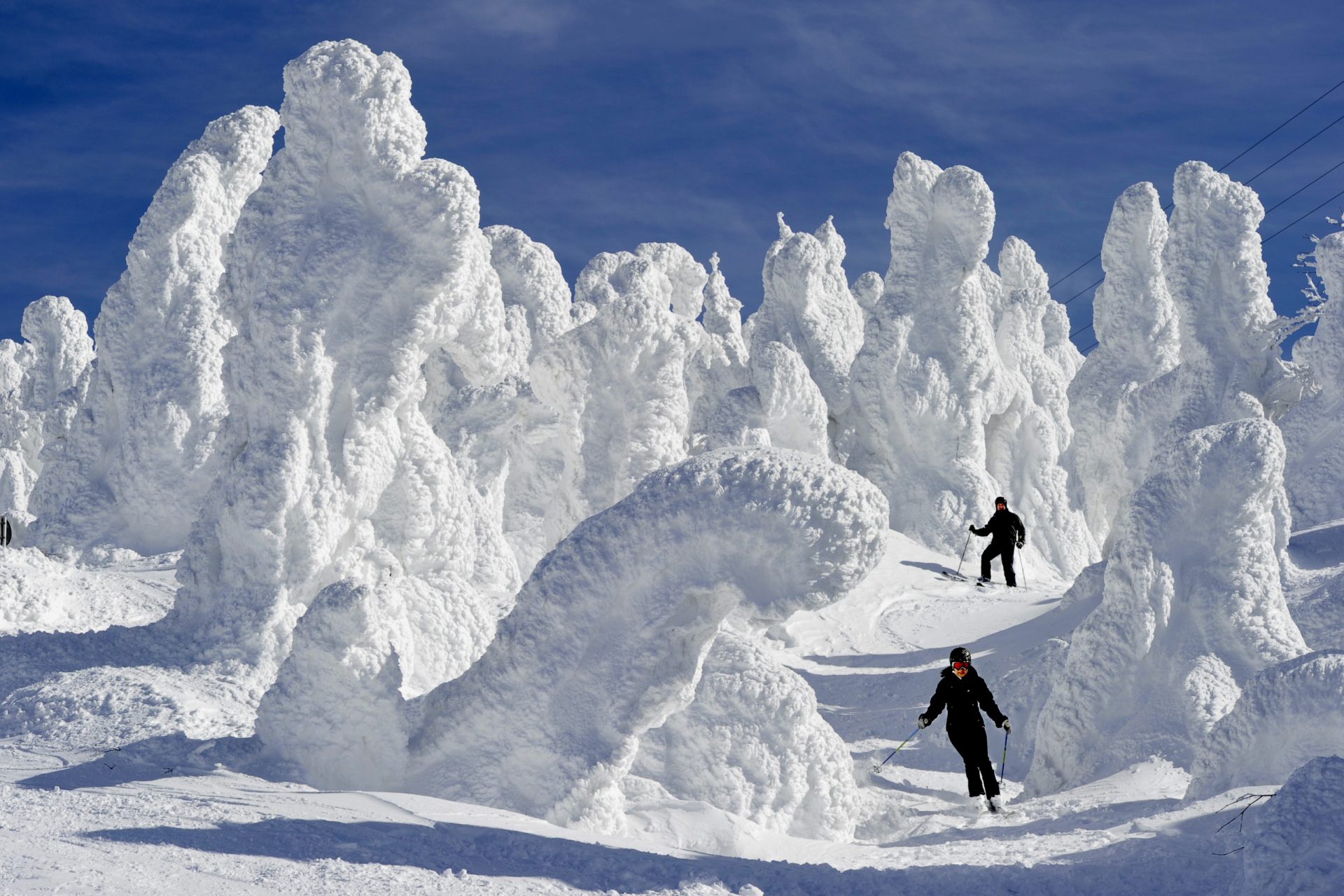 BEST SKI RESORTS WORLDWIDE visual data 3