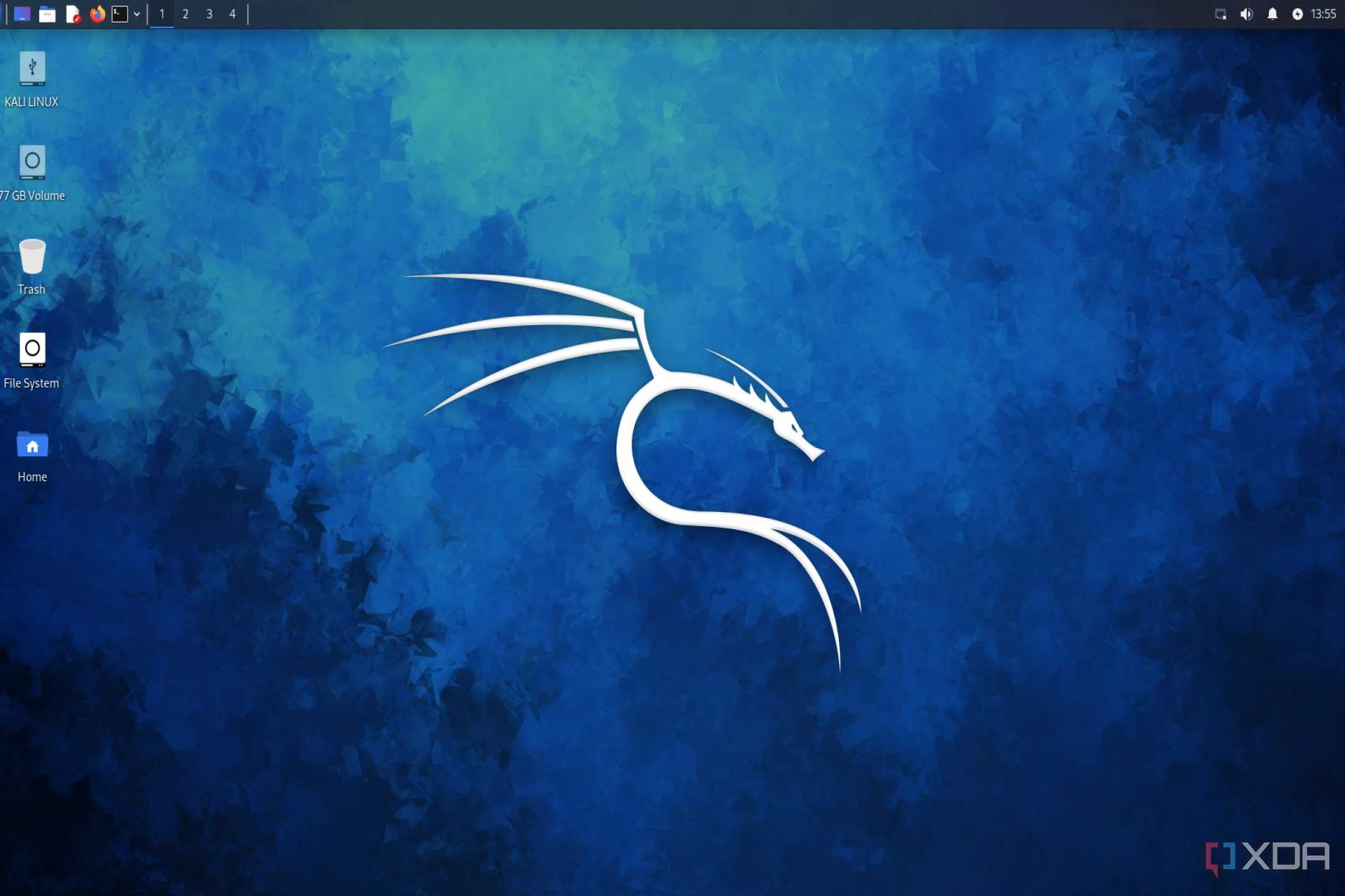 A screenshot of the Kali Linux desktop