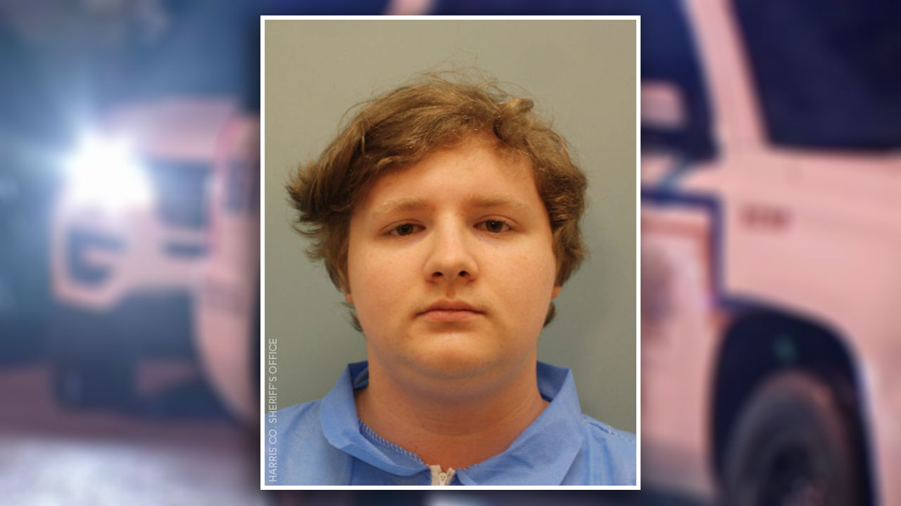 21yearold who claims he was sleepwalking when killing twin sister