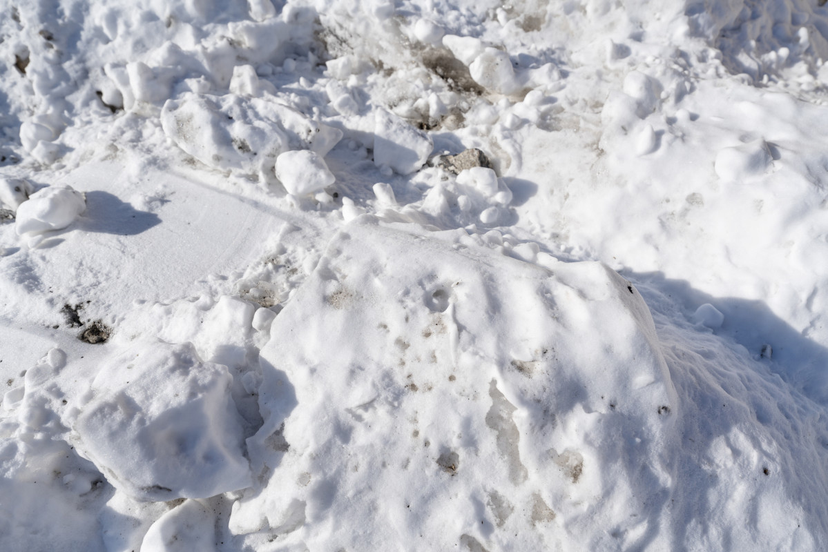 Ski Patroller Caught in Mammoth Mountain Avalanche Has Died