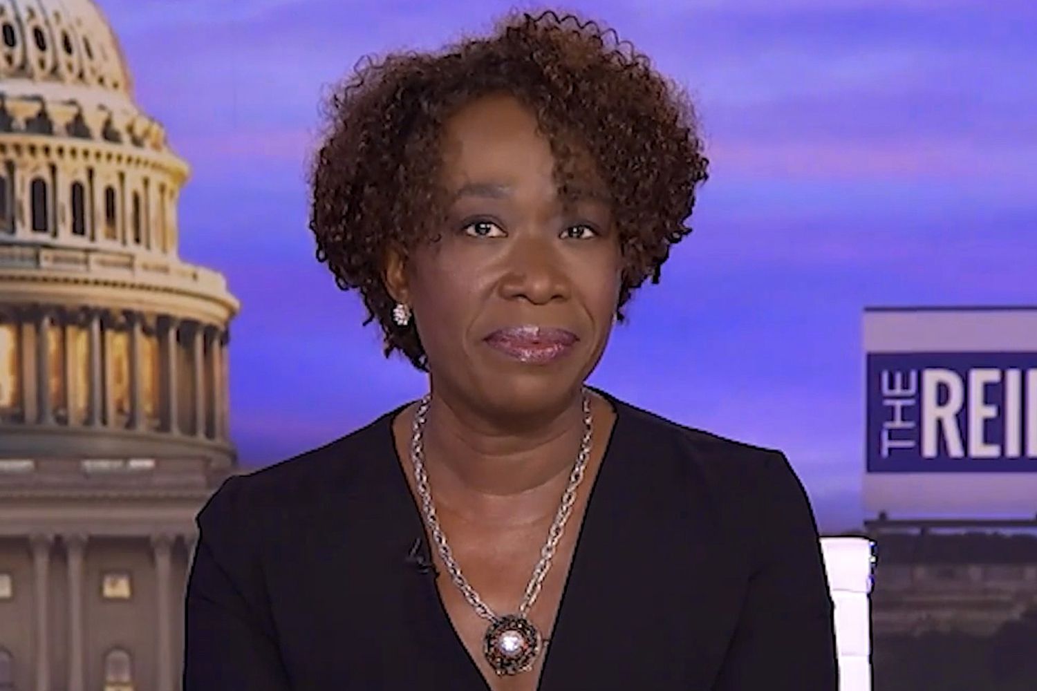 Joy Reid Exits MSNBC Hours After Lester Holt's Departure as Network