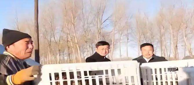 黑龙江男子贷款百万买6000只鹅苗，一半被野雁带跑，来年惊喜发生