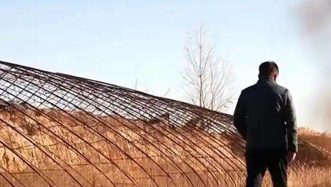 黑龙江男子贷款百万买6000只鹅苗，一半被野雁带跑，来年惊喜发生