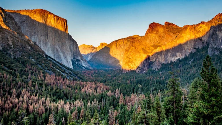 Parque Nacional de Yosemite. Fuente: Banco de imágenes Canva