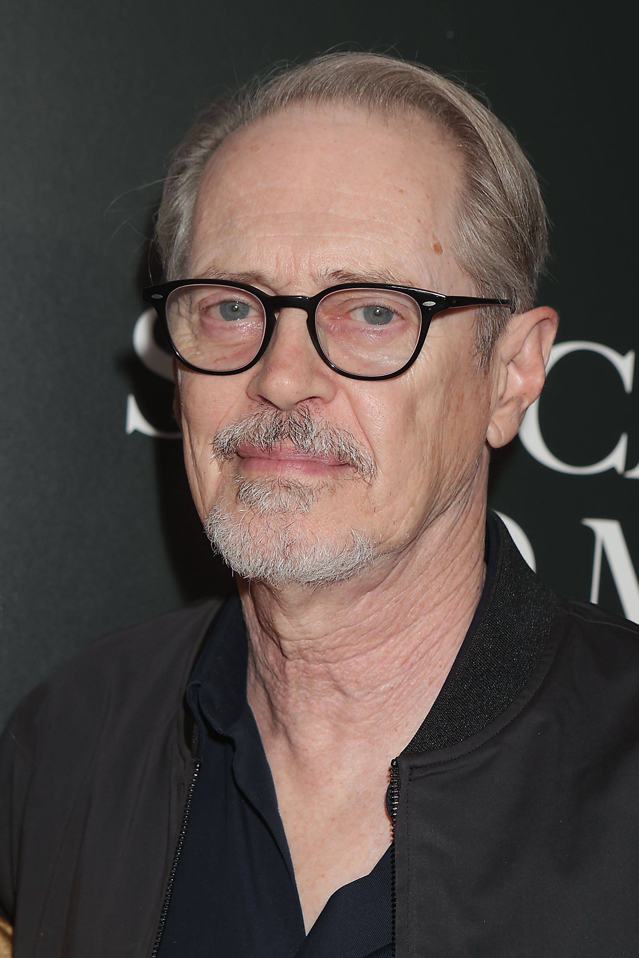 Steve Buscemi's 10 Best Movies And TV Shows, image size:768x1152