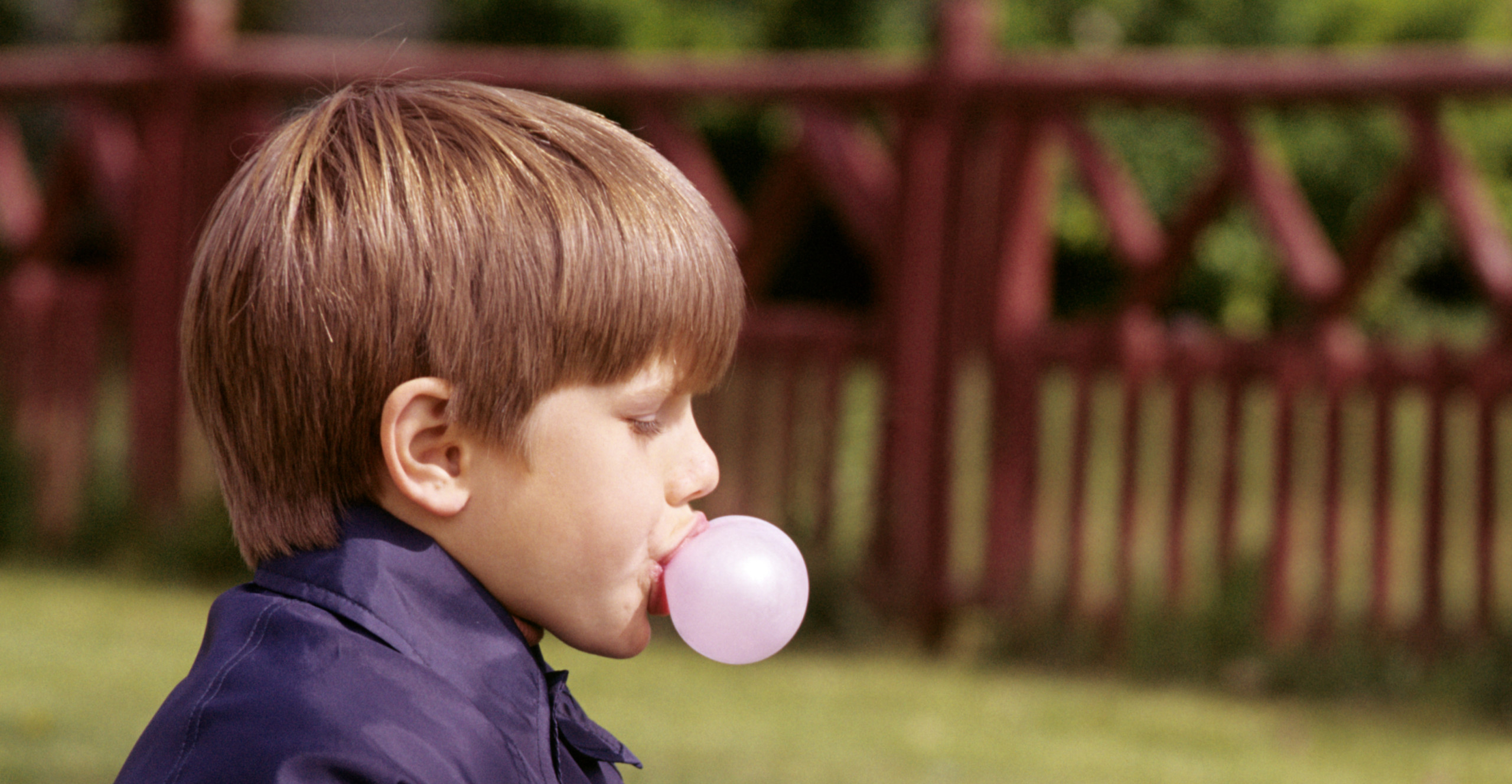 common-childhood-myths-many-still-believe