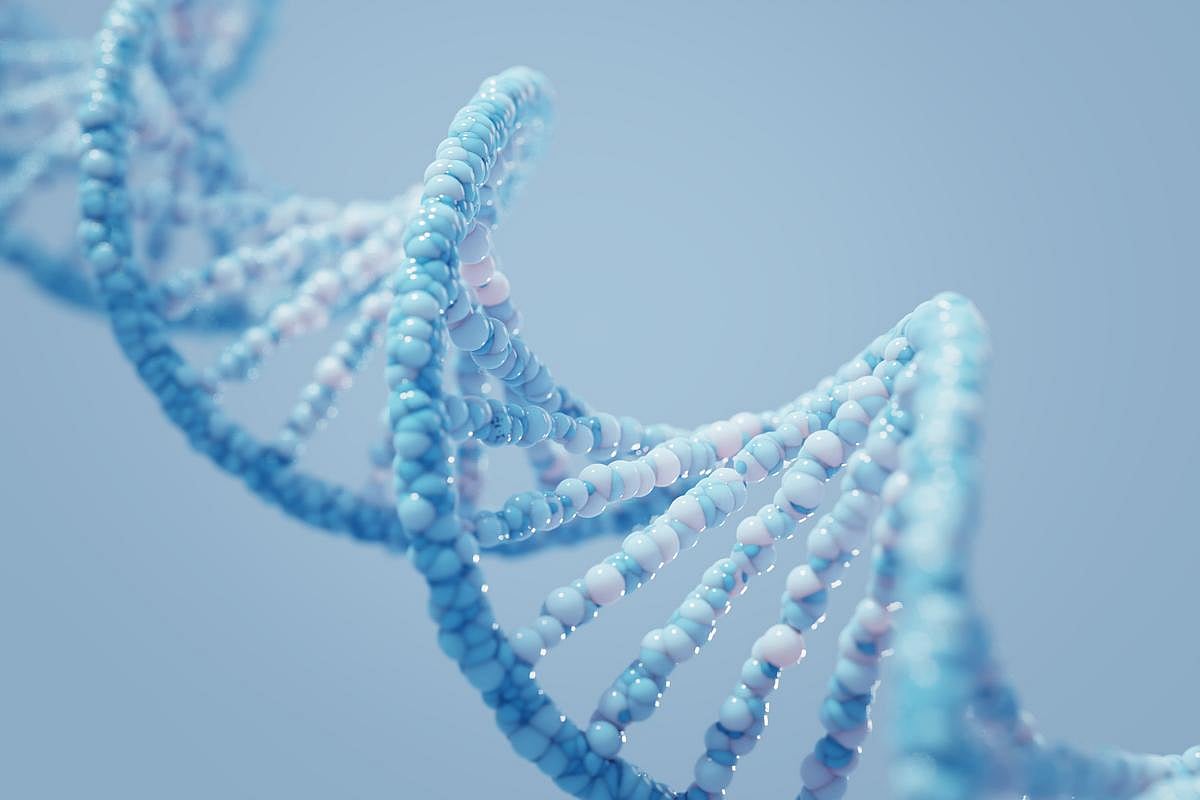 Personalized support boosts families' genetic testing for hereditary ...