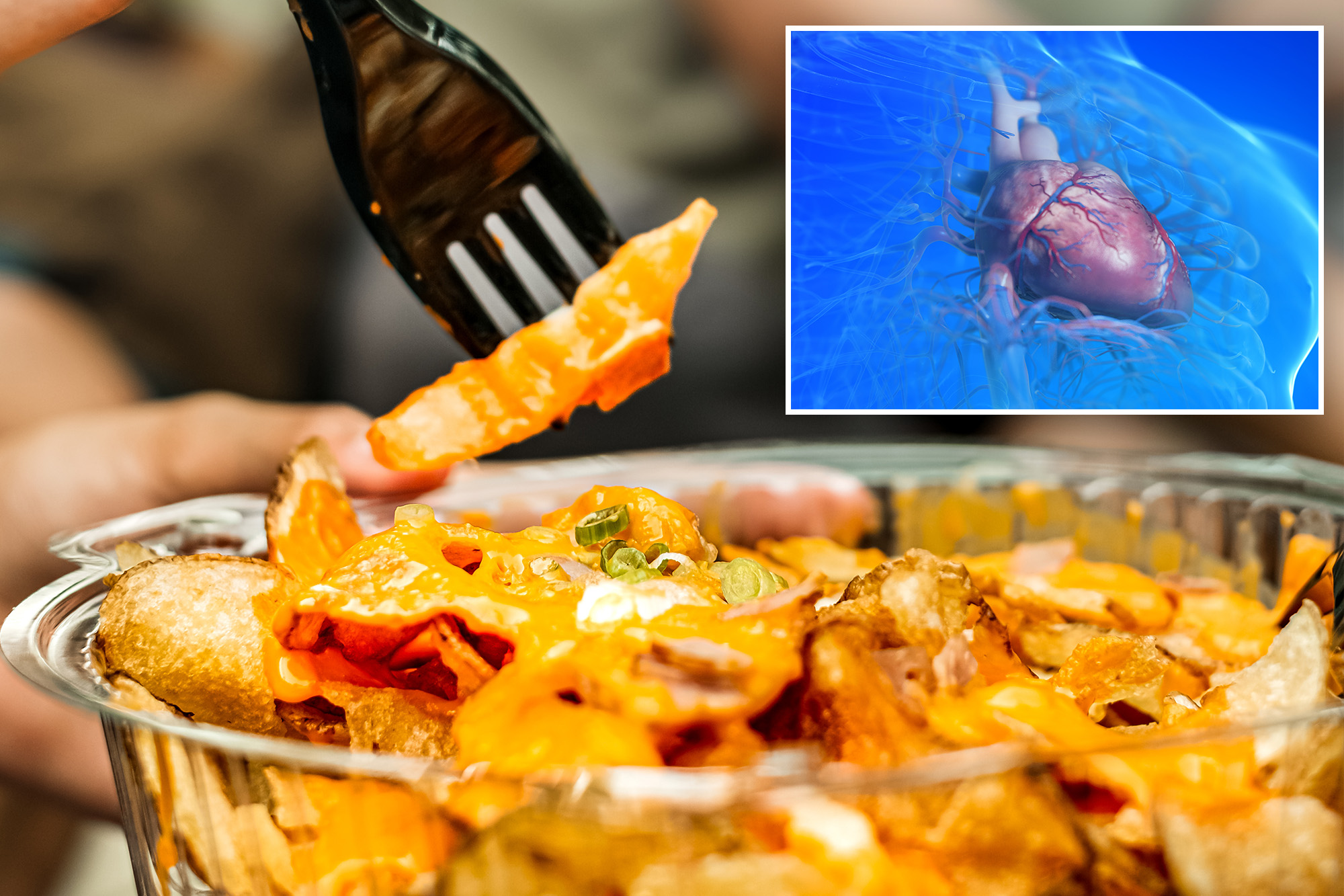 Your takeout containers could cause congestive heart failure — even