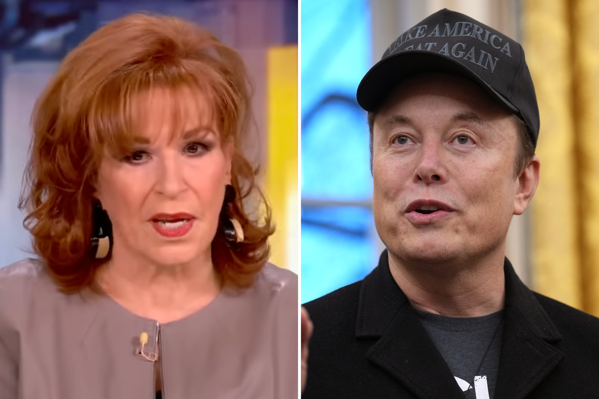 The View's Joy Behar walks back Elon Musk comments after saying he was  'pro-apartheid'