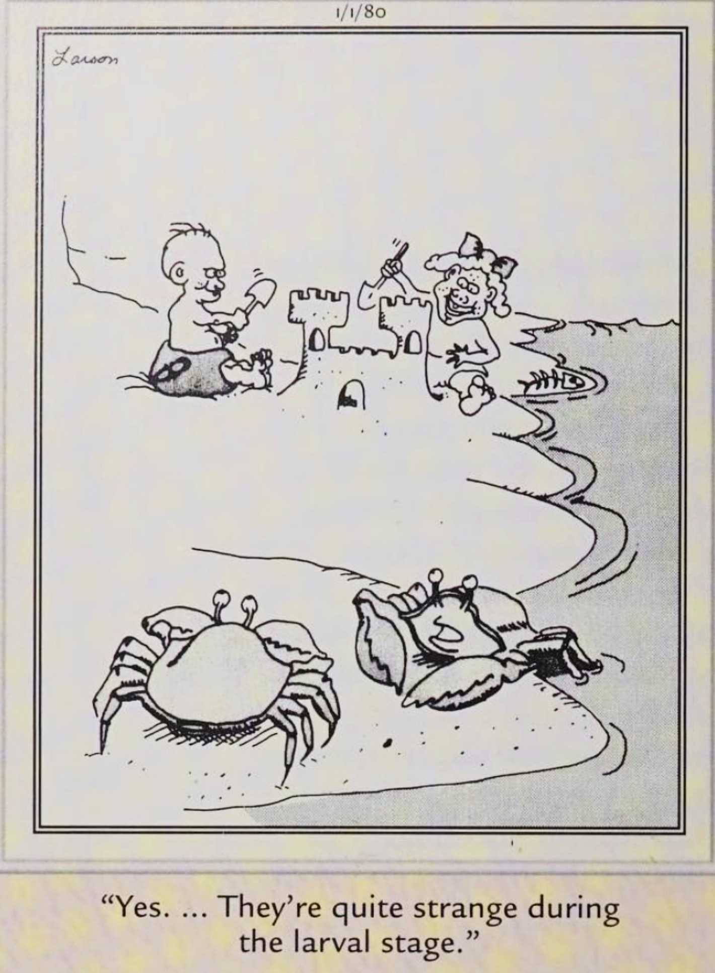 Far Side, January 1, 1980, crabs look at human children and think they look strange