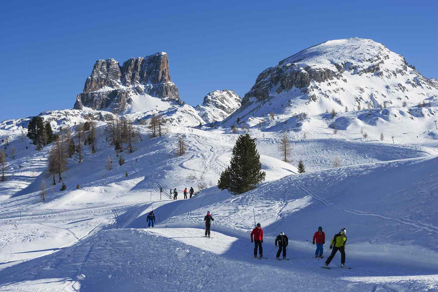 13YearOld Boy Dies After Crashing into Tree During Family Skiing