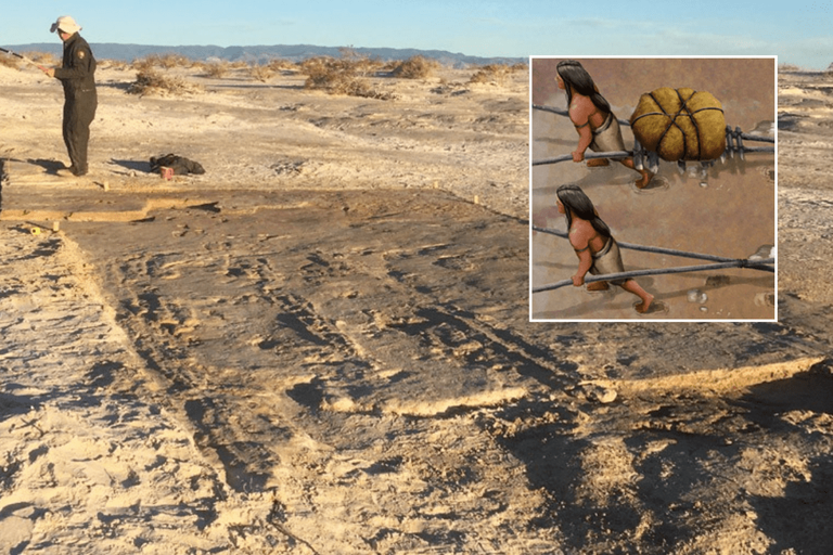 New Mexico desert/track marks travois wheelbarrow
