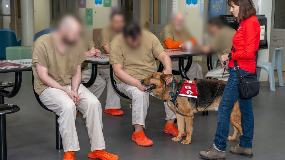 Therapy dogs bring comfort to Washoe County Detention Facility inmates