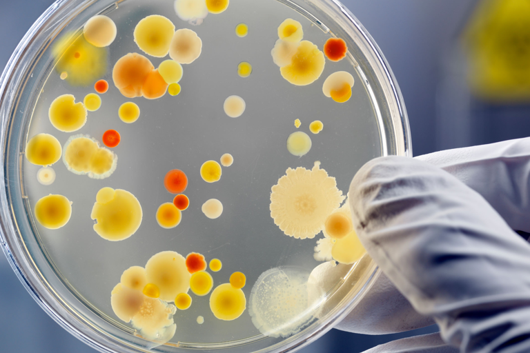 definition-bacterie-molecule-miroir-couv