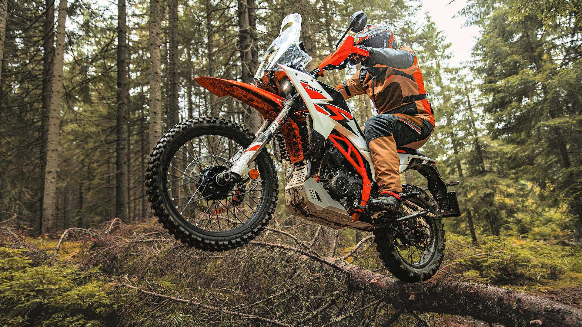 Rider on a 2025 KTM 390 Adventure R