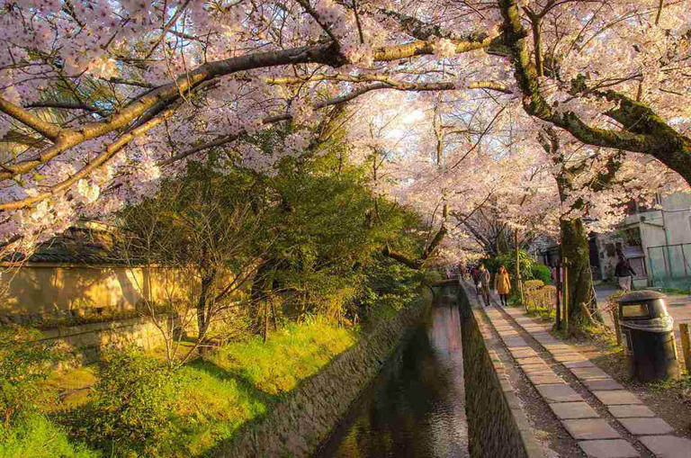 5-jalanan-terindah-di-dunia-untuk-inspirasi-liburan-anda