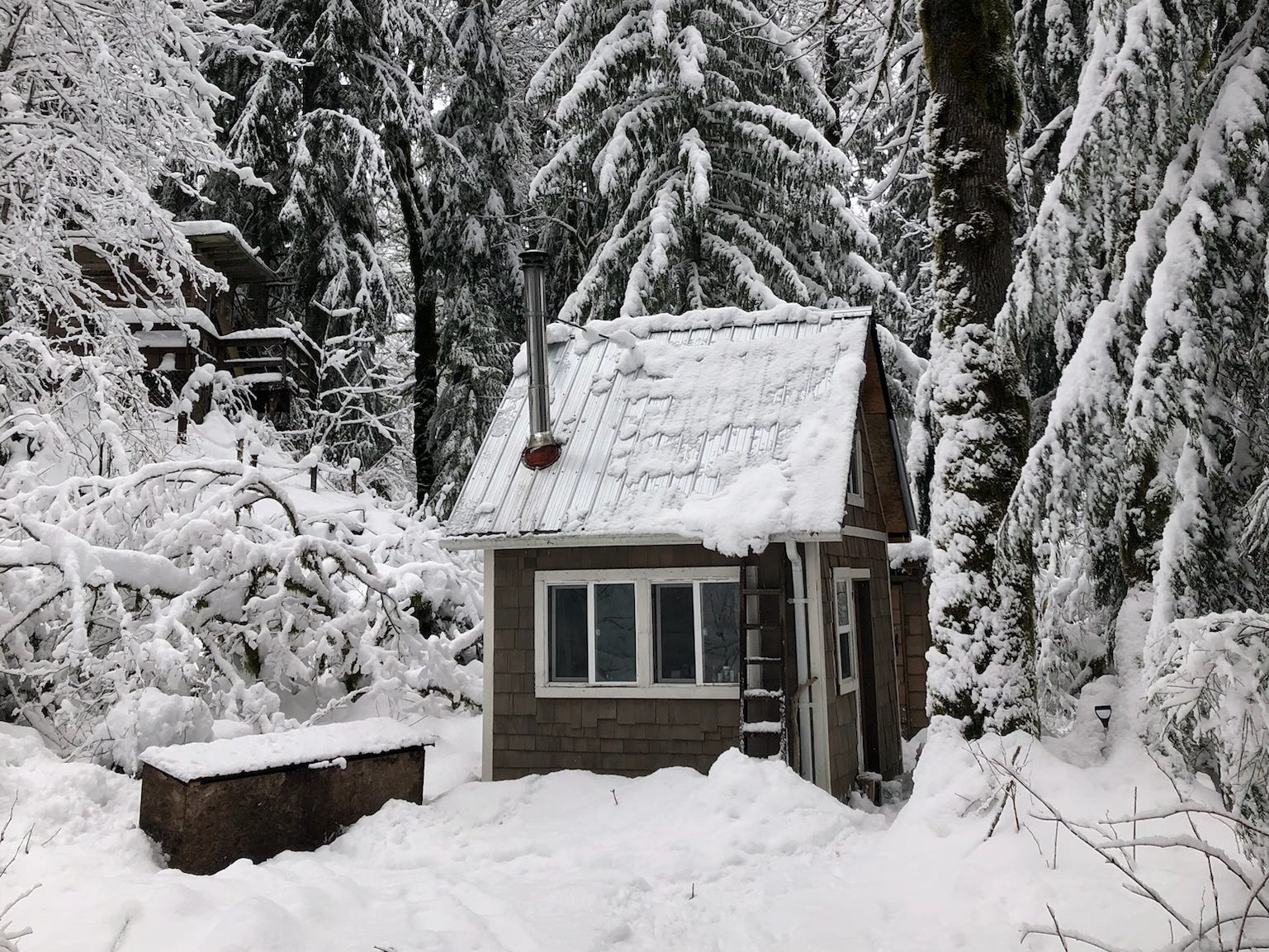 A man bought a tiny cabin from Craigslist for 7,500. It changed his life.
