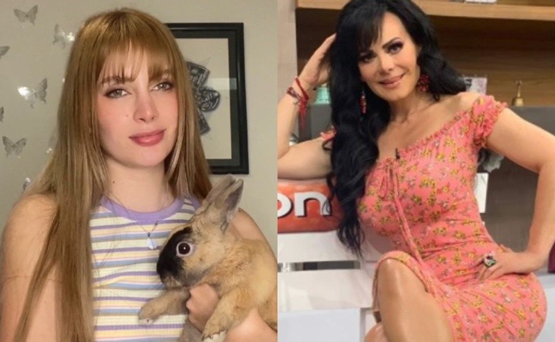 Marcos Valdés opina del pleito legal de Imelda Garza y Maribel Guardia y  'no se contuvo nada'