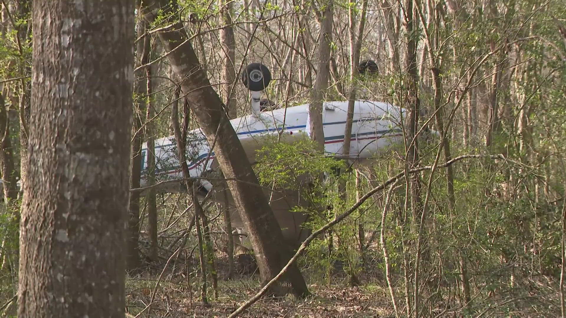 Plane found upside down in woods near Pearland