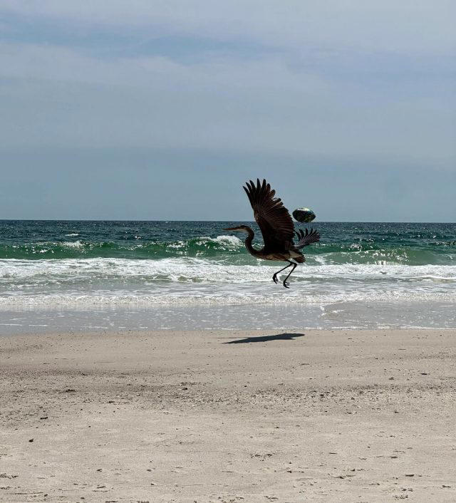 Outraged vacationer captures photo of tourists' heinous act against ...