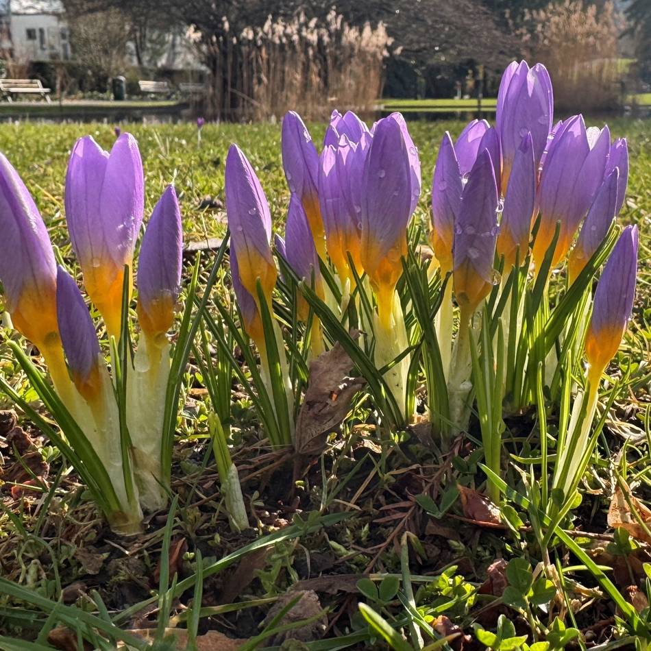 Der Frühling kommt!