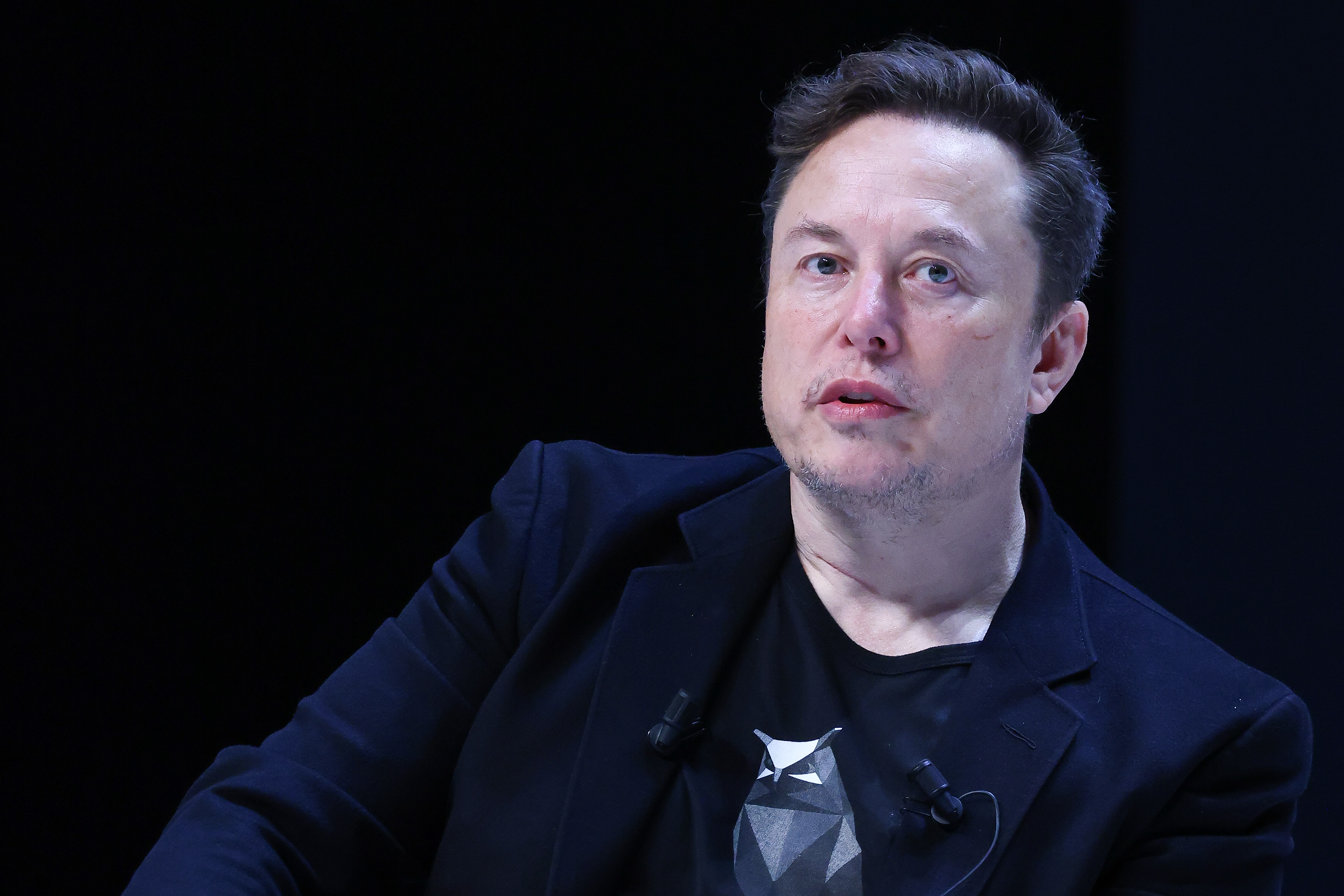 Elon Musk attends 'Exploring the New Frontiers of Innovation: Mark Read in Conversation with Elon Musk' session during the Cannes Lions International Festival Of Creativity on June 19, 2024 in Cannes, France. Marc Piasecki/Getty Images