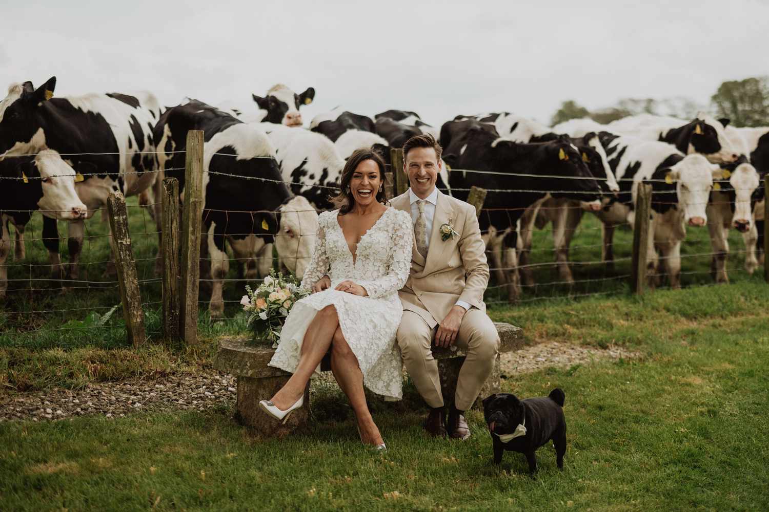 Bride and Groom Go Viral After a Herd of 'Respectful' Cattle Crashed